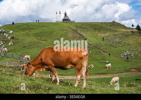 Una scena vivace su un crinale di montagna dove diversi escursionisti seguono un sentiero che passa accanto a una tradizionale cappella in legno, mentre mucche marroni e bianche pascolano in primo piano Foto Stock