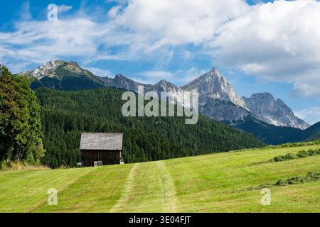 Un pittoresco paesaggio delle Alpi austriache caratterizzato da tradizionali fienili e case in legno annidate in lussureggianti prati verdi sotto la bocca frastagliata e torreggiante Foto Stock