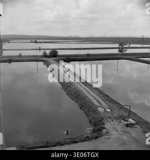 Un'ampia vista panoramica sopraelevata mette in mostra gli ampi stagni artificiali di riproduzione della fattoria ittica Donrybkombinat che si estendono verso l'orizzonte nel distretto di Sloviansk durante gli anni '1980, con sagome di cisterne industriali visibili in lontananza. Questa suggestiva fotografia d'archivio cattura perfettamente la massiccia scala delle infrastrutture agricole sovietiche che si fondono con l'ambiente naturale, evidenziando le forti fondamenta economiche della regione e un pacifico Donbass prima della guerra. Foto Stock