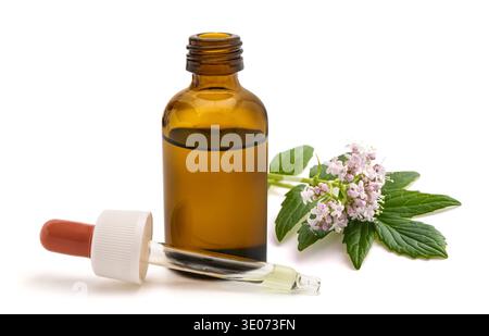 Fiori valeriani con bottiglia di olio essenziale isolata su bianco Foto Stock
