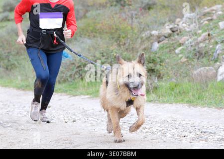 Donna e cane che gareggiano in una gara di canicross Foto Stock