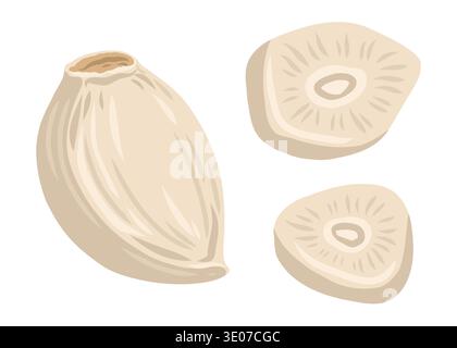 Illustrazione vettoriale del set di spicchi d'aglio per il design della cucina. Ingredienti speziati in stile cartoni animati per menu di verdure. Pianta intera e a fette per modello di cottura o elemento grafico biologico dell'azienda agricola. Illustrazione Vettoriale