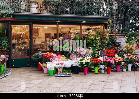 Il negozio di fiori espone una varietà di fiori e piante in un ambiente urbano frenetico Foto Stock