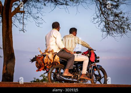 Uomini di ritorno da un mercato locale in moto con polli appesi sul retro, Chhattisgarh, India Foto Stock