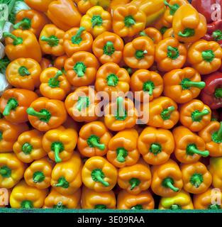 Freschi i peperoni per la vendita al mercato di Chelsea a New York Foto Stock