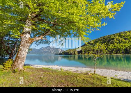 Vista dal Walchensee a Herzogstand (1731 m), alta Baviera, Baviera, Germania Foto Stock