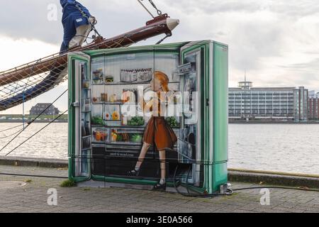 Graffiti, scatola di distribuzione di energia elettrica a Bontekai di Wilhelmshaven artista di graffiti Thorben IDE, "Word-G-Wall", motivo, frigorifero aperto con una ragazza, Foto Stock