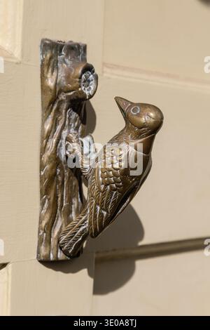 Picchiaduro, Chepstow, Galles Foto Stock