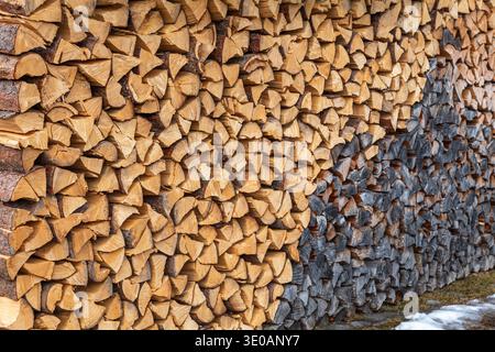 Grande parete di tronchi divisi impilati che mostrano un contrasto tra legno fresco e legno intemprato Foto Stock