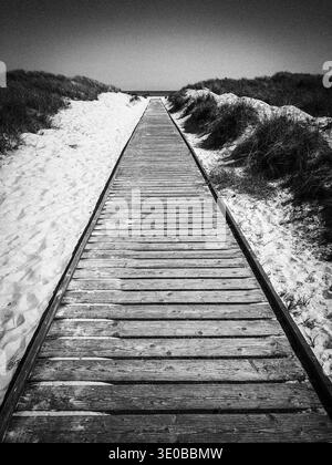Sulla strada per la spiaggia di Dueodde su Bornholm, Dueodde, Beach, Bornholm, regione capitale, regione di Hovedstaden, paesaggio, costa, Danimarca, Scandinavia Foto Stock