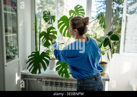 Pollice verde donna di mezza età che si occupa delle piante della casa, ispeziona le foglie della pianta di Monstera. Foto Stock