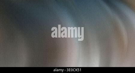 An abstract image featuring a blurred background with a gradient of gray and brown hues. The texture is smooth and the colors blend seamlessly. Foto Stock