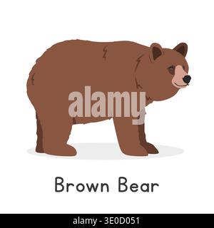 Illustrazione vettoriale dell'orso grizzly o dell'orso bruno, personaggio della clipart dei cartoni animati, animale in stile piatto. Animali selvatici, creature selvatiche e animali selvatici Illustrazione Vettoriale