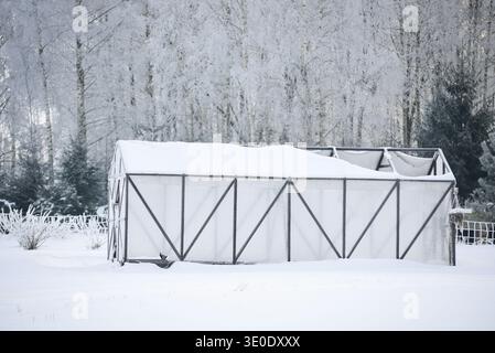 Struttura a effetto serra ricoperta di neve in un tranquillo paesaggio invernale circondato da alberi ricoperti di gelo. Scena fredda stagionale che rappresenta l'agricoltura Foto Stock