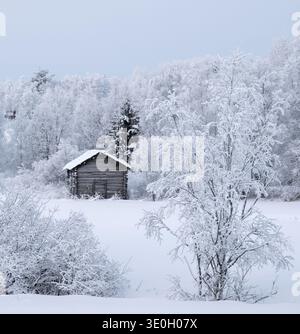 Fienile in legno costruito sul bordo di un campo innevato, circondato da alberi innevati e boschi ai margini della città di Tolva, Finlandia Foto Stock