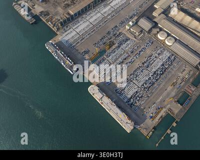 Vista aerea di un porto affollato con navi da carico attraccate tra pile di container ordinatamente disposte, Shanghai, Shanghai, Cina. Foto Stock
