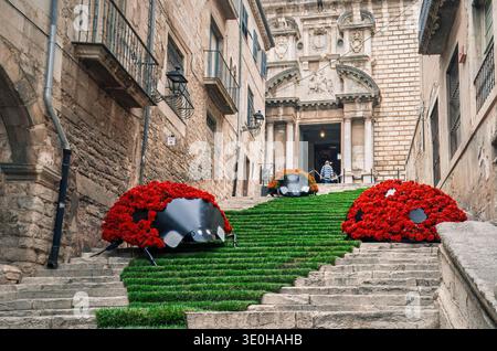 Stravagante nella città vecchia: Coccinelle giganti di Fiore viaggio verso una facciata barocca (Girona, Spagna: 11 maggio 2013) Foto Stock