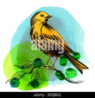 Uccello appollaiato su Branch Ink e illustrazione acquerello Foto Stock