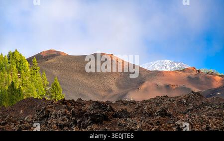 Una vista panoramica del terreno vulcanico vicino a Chinyero, caratterizzato da rocce laviche e pini con la vetta innevata del Monte Teide in lontananza a Tenerife, Spagna. Foto Stock