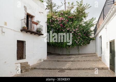 Vecchia strada residenziale con case bianche nella città vecchia di Ibiza, in Spagna Foto Stock