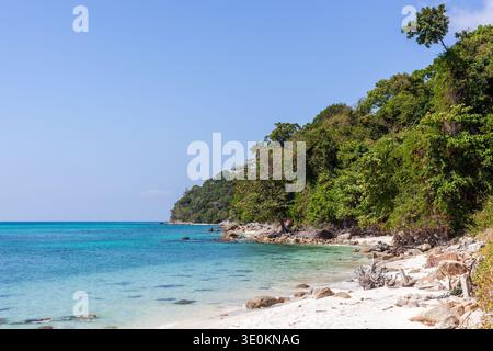 Spiaggia tropicale di Koh Adang nel Parco Nazionale di Tarutao, Thailandia. La vegetazione lussureggiante incontra l'acqua cristallina turchese. Costa rocciosa con mare blu vibrante. Foto Stock