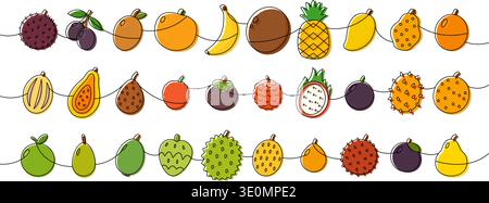 Bordo di frutti disegnato a mano, arte lineare. Illustrazione vettoriale a linea continua di frutti tropicali Illustrazione Vettoriale