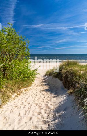Sentiero sabbioso che conduce al Mar Baltico attraverso dune e pini sull'isola di Usedom, Germania. Paesaggio costiero panoramico con cielo blu. Popolare viaggio estivo de Foto Stock