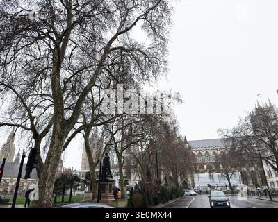 Londra, Regno Unito - 01 febbraio 2026: Strada piovosa e pedoni incorniciati da platani senza foglie e architettura gotica di Westminster a Londra Foto Stock