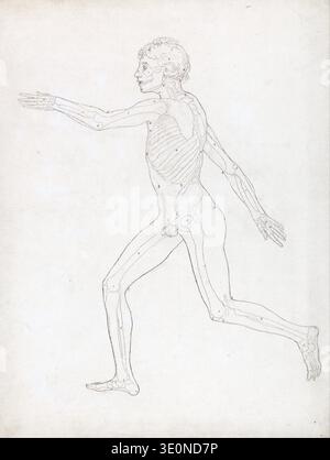 Questo studio anatomico del 1795 di George Stubbs raffigura una figura umana maschile in una posa dinamica, con ossa e muscolatura parziale delineata da linee tratteggiate ed etichettata. Stubbs, noto per le sue dettagliate anatomie animali e umane, presenta un'esplorazione accademica della struttura del corpo, caratteristica del suo stile di disegno. Foto Stock