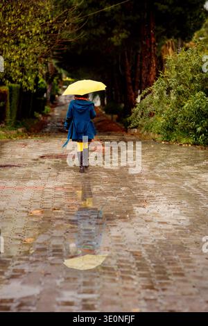 Vista posteriore della donna con ombrello giallo che cammina sulla strada Foto Stock