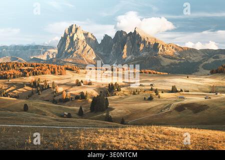 Vista dei campi dorati si estende verso vette frastagliate e soleggiate sotto un cielo sereno, un paesaggio dipinto in tonalità autunnali, Alpe di Siusi, Trentino-alto Adig Foto Stock