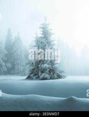 Vista di un paesaggio innevato con un abete solitario alto in mezzo a una foresta serena e ghiacciata, toccata dalla morbidezza dell'abbraccio invernale, Foto Stock