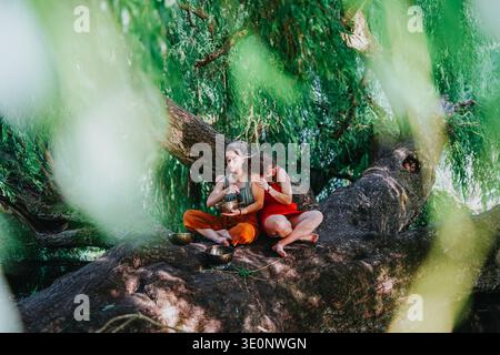 Due amici meditano e legano su un grande tronco di salice nei Paesi Bassi Foto Stock
