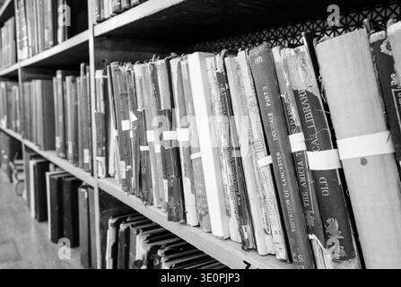 Una fila di libri antichi è ordinatamente disposta su scaffali di legno in un ambiente libreria poco illuminato. Foto Stock