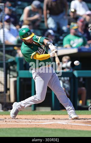Surprise, AZ: Il ricevitore degli Athletics Austin Wynns (29) raggiunge il campo sinistro nel primo inning durante una partita di allenamento primaverile della MLB contro i Texas Rangers giovedì 12 marzo 2026 al Surprise Stadium. I Rangers hanno battuto gli Athletics 7-6. (Christopher Hall/immagine dello sport) Foto Stock