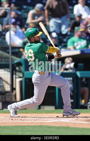 Surprise, AZ: Il ricevitore degli Athletics Austin Wynns (29) raggiunge il campo sinistro nel primo inning durante una partita di allenamento primaverile della MLB contro i Texas Rangers giovedì 12 marzo 2026 al Surprise Stadium. I Rangers hanno battuto gli Athletics 7-6. (Christopher Hall/immagine dello sport) Foto Stock