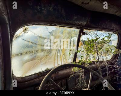 Una vista del parabrezza rotto dall'interno di un vecchio camion abbandonato con un cespuglio che cresce attraverso il vetro. Foto Stock