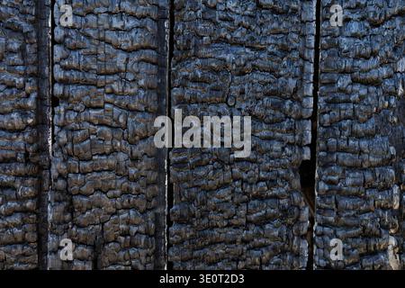 Superficie in legno carbonizzato dopo il fuoco. Sfondo dettagliato delle tavole di legno bruciate con superficie carbonizzata dopo l'incidente d'incendio. Foto Stock
