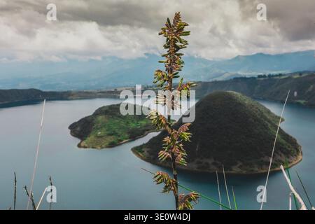 Questa foto grandangolare dal bordo del cratere Cuicocha cattura l'incredibile contrasto tra il lago vulcanico blu profondo e la lussureggiante andina verde dorata Foto Stock