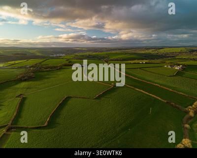 Paesaggio di campagna aerea che mostra campi agricoli patchwork divisi da siepi tradizionali. Veduta dei terreni verdi illuminati dai droni Foto Stock