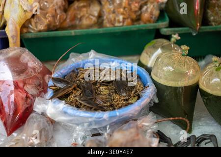 Bangkok Thailandia 16 gennaio 2026. Insetti d'acqua commestibili e bevande confezionate esposte in vendita al mercato Khlong Toei. Foto Stock