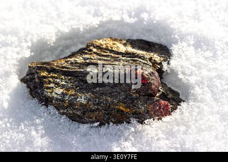 Vivace granato di almandine rosso annidato in uno scisto di mica ruvida, in netto contrasto con l'immacolata neve bianca, un tesoro naturale. Deposito Kitelskoe, Kit Foto Stock