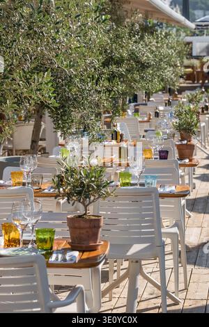 Elegante terrazza ristorante all'aperto con alberi di ulivo a Nizza Foto Stock