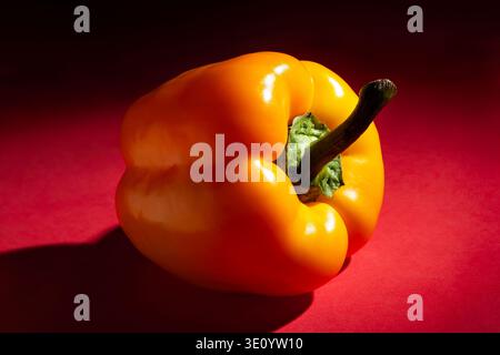 peperone giallo su sfondo rosso Foto Stock