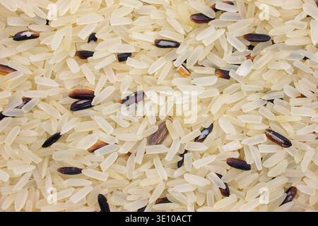 Vista molto ravvicinata degli ingredienti secchi del riso bianco e selvatico. Foto Stock