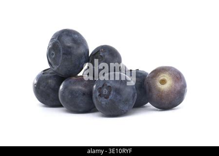 Primo piano di mirtilli appena raccolti impilati su sfondo bianco. Perfetto per rappresentare temi di alimentazione sana, frutta, dieta e freschezza Foto Stock