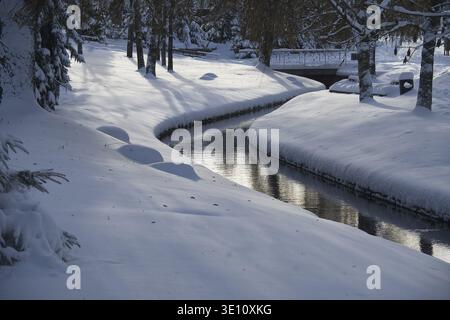 Tranquillo scenario invernale con un piccolo e tranquillo torrente che attraversa un parco innevato con le sponde piene di gelo e gli alberi che lo circondano, gli alberi e il Foto Stock