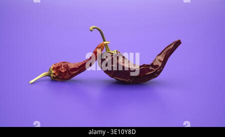 Due peperoncini rossi secchi con gambi verdi presentati su un vivace sfondo viola ultravioletto Foto Stock