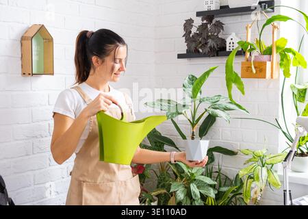 Giovane donna sorridente mentre innaffia grandi piante al coperto, monstera e dracaena, interni moderni e luminosi, che mantengono la routine, uno stile di vita verde. Foto Stock