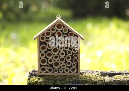 Una casa d'api in legno con tubi di bambù si trova su un tronco muschiato su uno sfondo verde sfocato Foto Stock